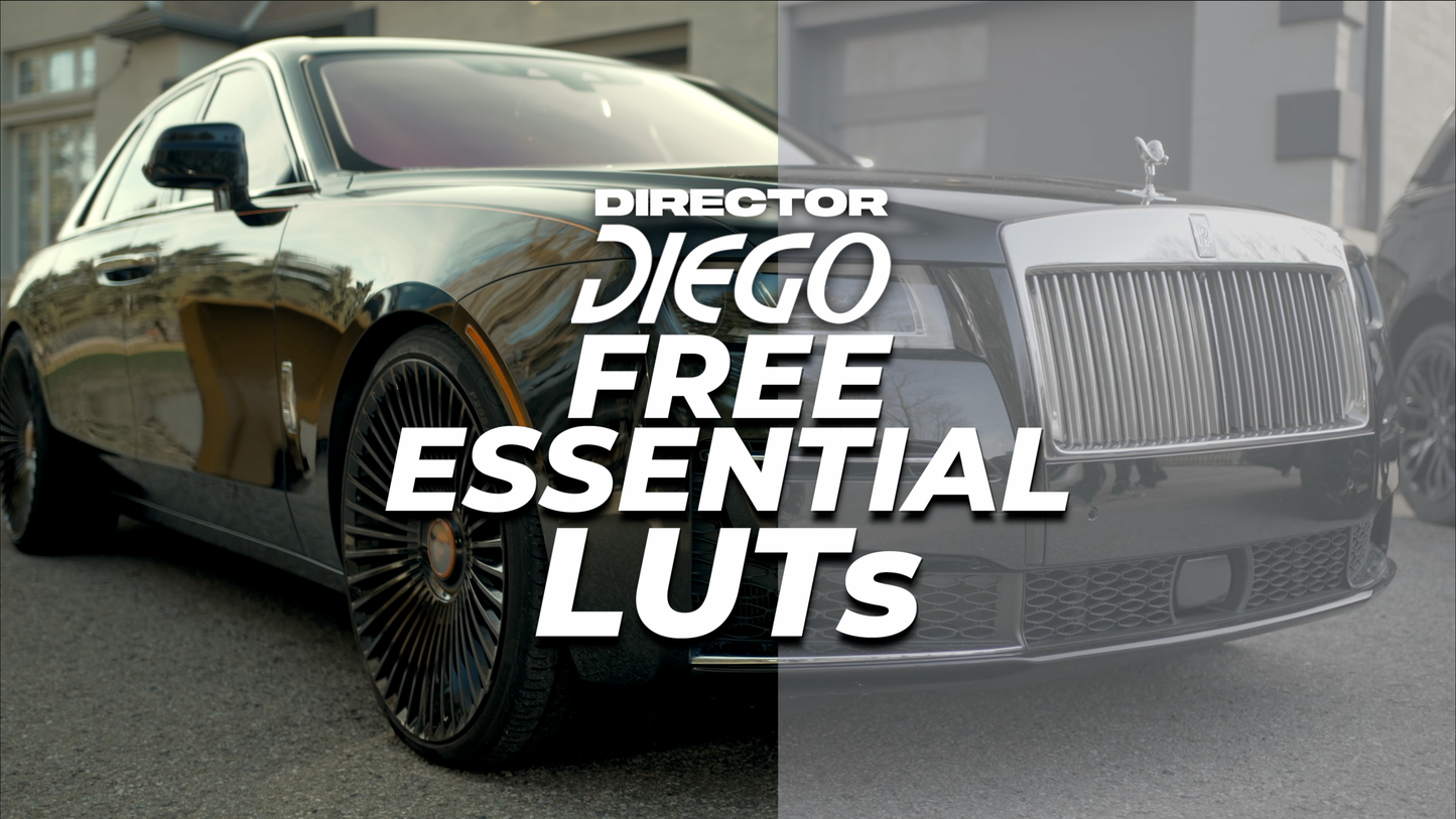 DIRECTOR DIEGO FREE ESSENTIAL LUTS PACK